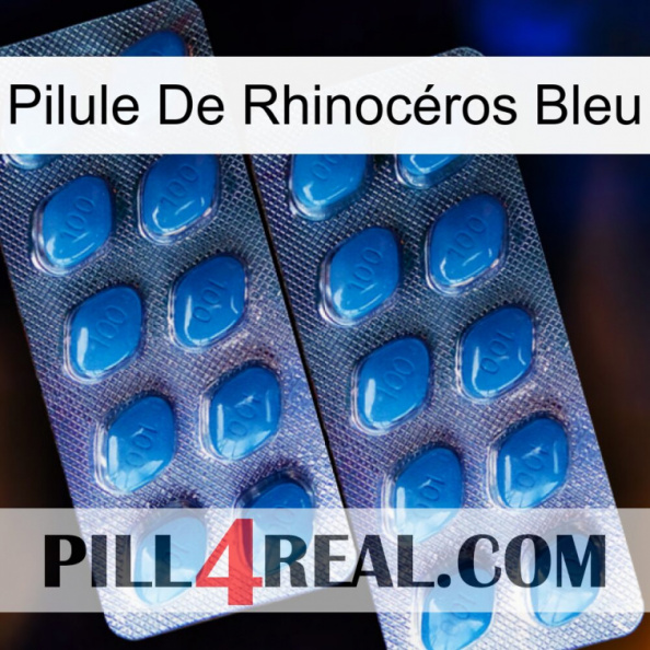 Pilule De Rhinocéros Bleu viagra2